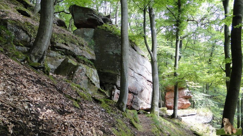 Ritterstein Nr. 091-14 Kanzelfelsen mit den Inschriften der Teilung der Haingeraide.JPG - Ritterstein Nr.90 u. 91 Kanzelfelsen mit den Inschriften der Teilung der Haingeraide 108 Schr.